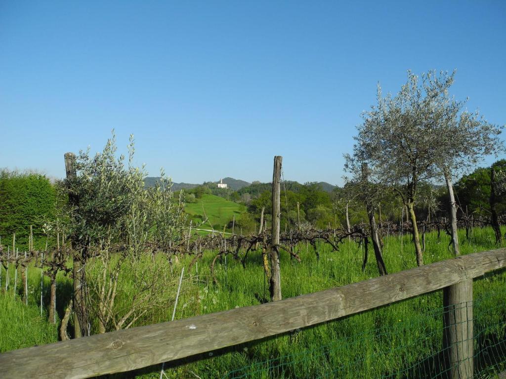 Agriturismo Cornolere Villa Castelcucco Bagian luar foto