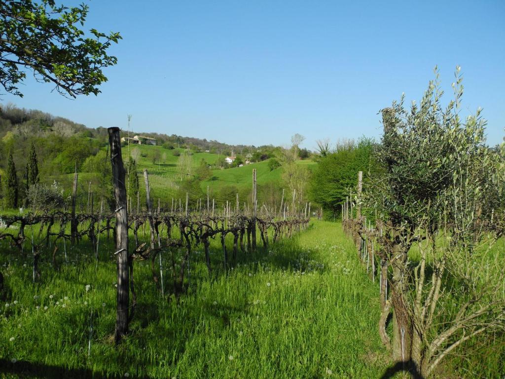 Agriturismo Cornolere Villa Castelcucco Bagian luar foto